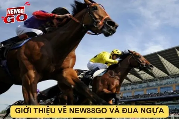 Cách đặt cược đua ngựa new88go