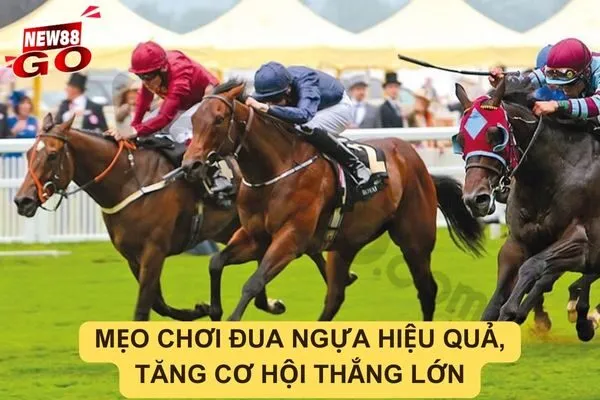Hướng dẫn cách đặt cược và mẹo chơi đua ngựa tại new88go
