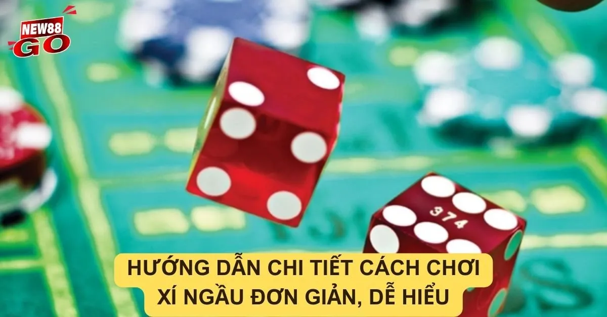 Hướng dẫn chi tiết cách chơi Xí Ngầu đơn giản, dễ hiểu