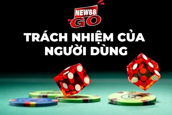 Trách nhiệm của người dùng tại new88