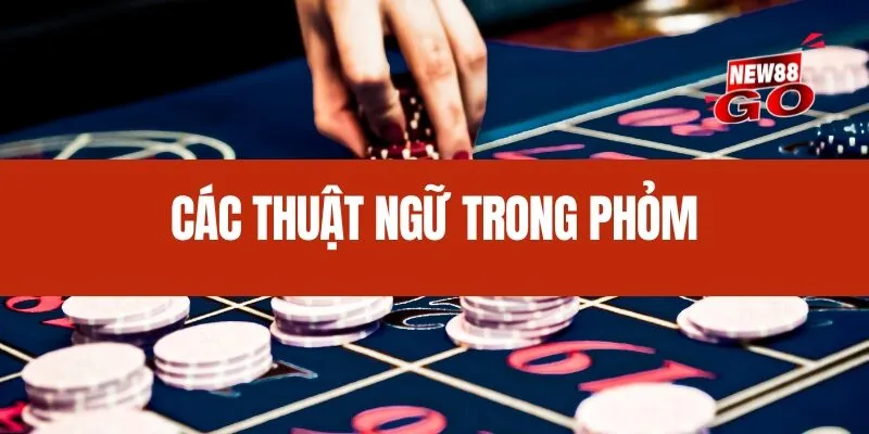 Các thuật ngữ trong Phỏm